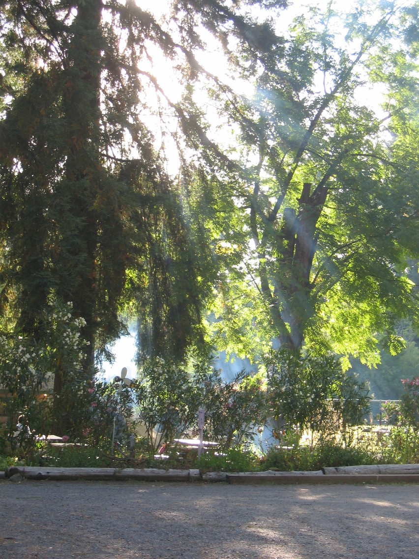 333_3353.JPG