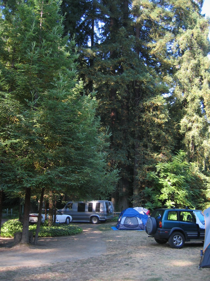 334_3438.JPG