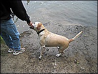 333_3346_2.JPG