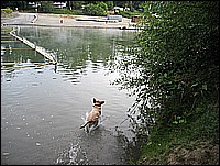 333_3347_50.JPG