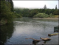 333_3348_2.JPG