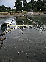 333_3349.JPG
