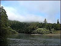 333_3350.JPG