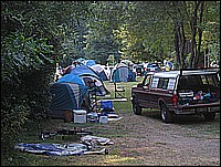 333_3351.JPG
