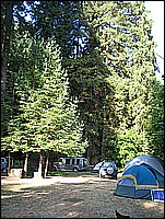 333_3352.JPG