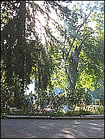 333_3353.JPG