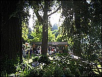 333_3354.JPG