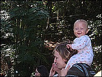 333_3373.JPG