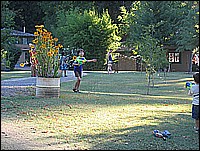 333_3398.JPG