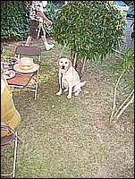 334_3413.JPG