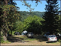 334_3439.JPG