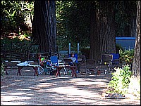 334_3440_2.JPG