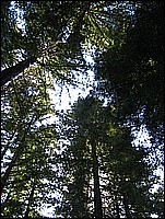 334_3447.JPG