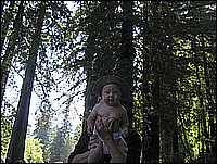 334_3453_2.JPG