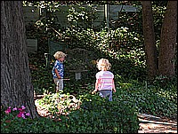 334_3493.JPG
