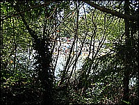 335_3513.JPG