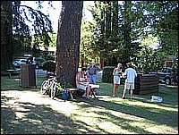 335_3515.JPG