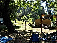 335_3520.JPG