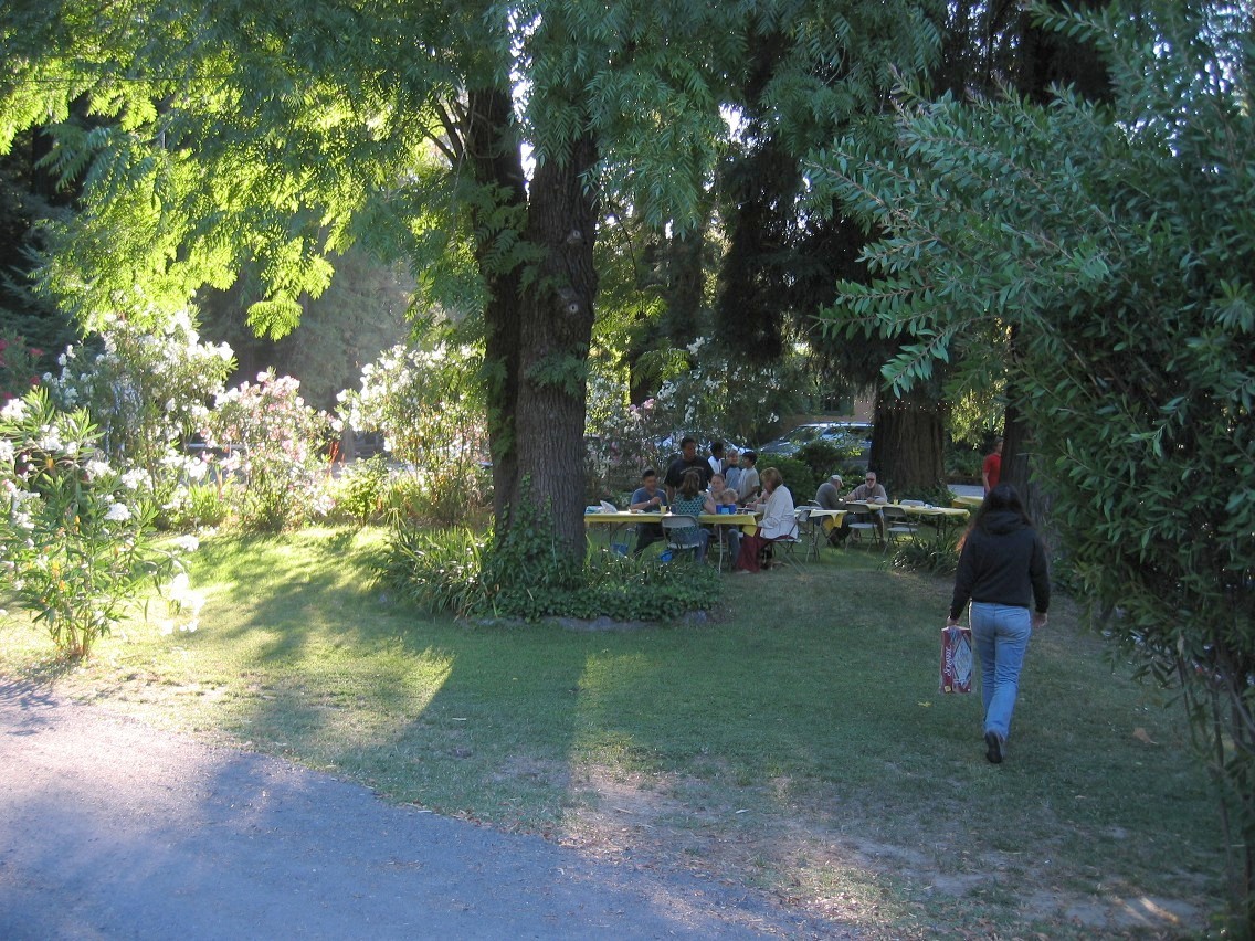 378_7886.JPG