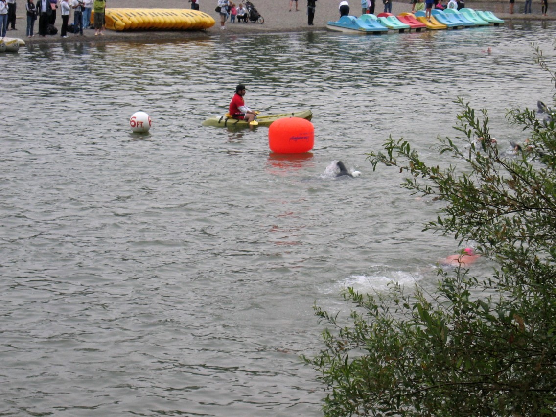 382_8209.JPG