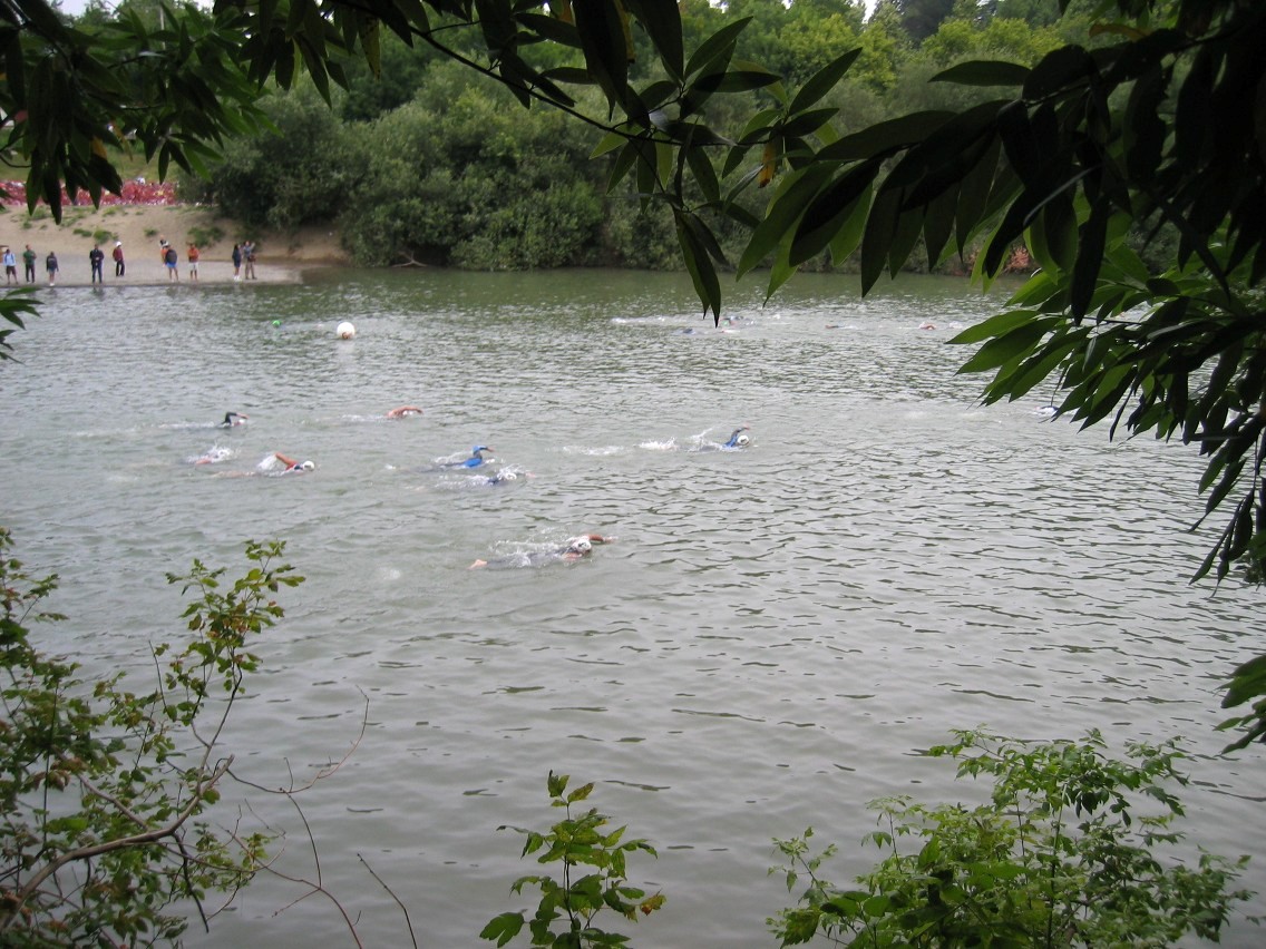 382_8210.JPG