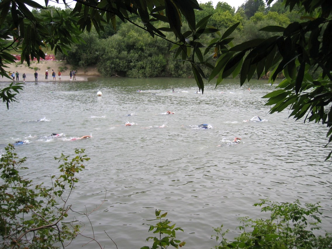 382_8211.JPG