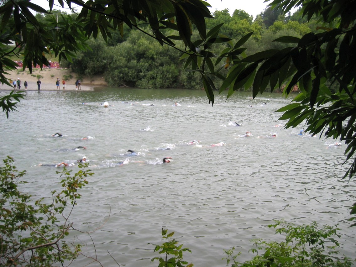 382_8212.JPG