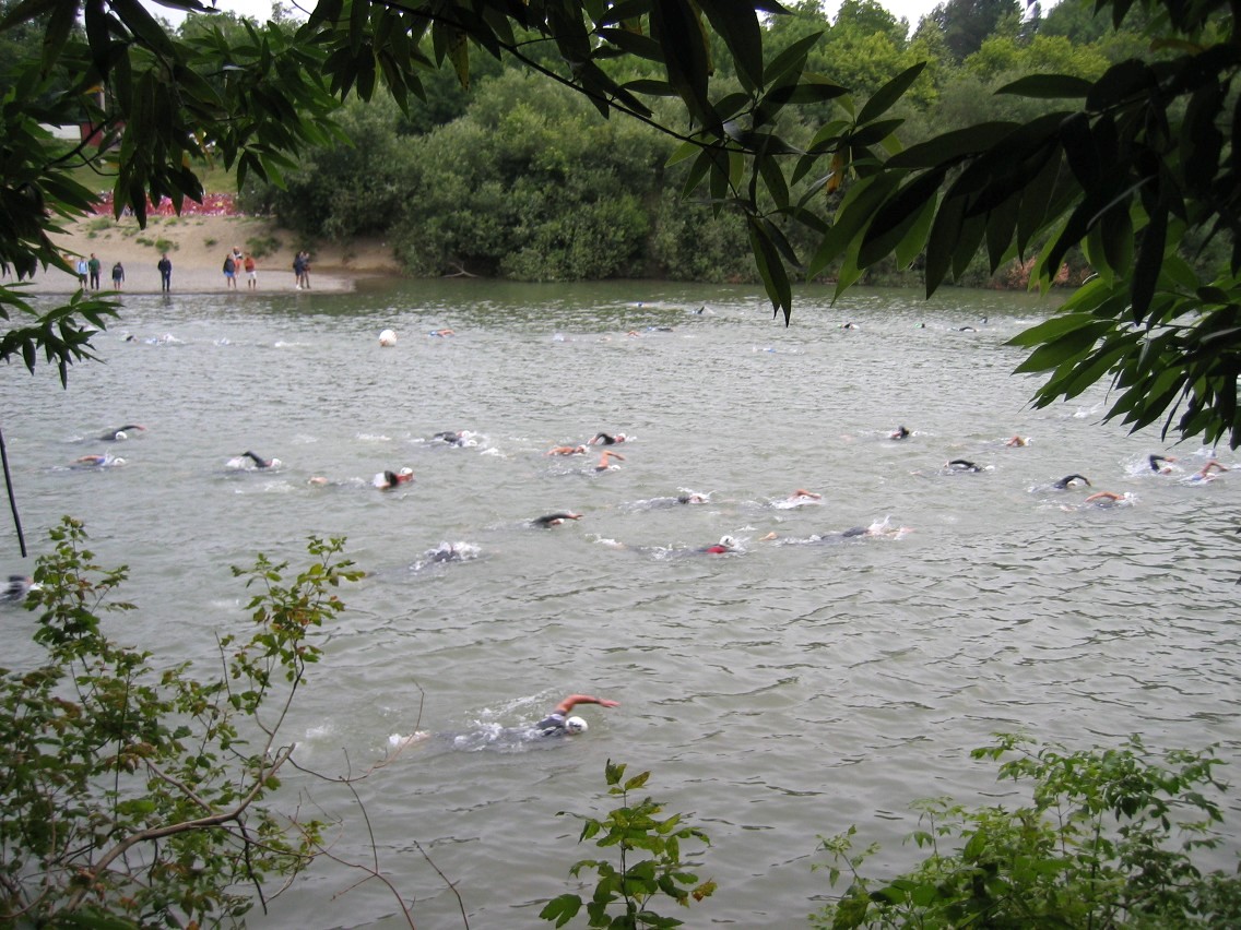 382_8214.JPG