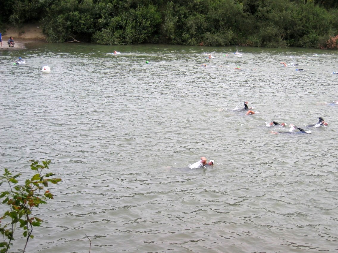 382_8223.JPG