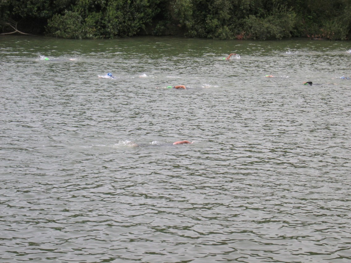 382_8225.JPG