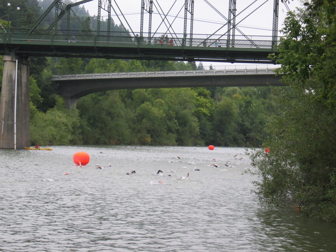 382_8226.JPG
