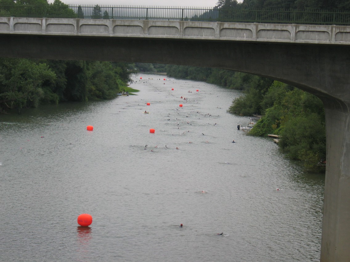 382_8232.JPG