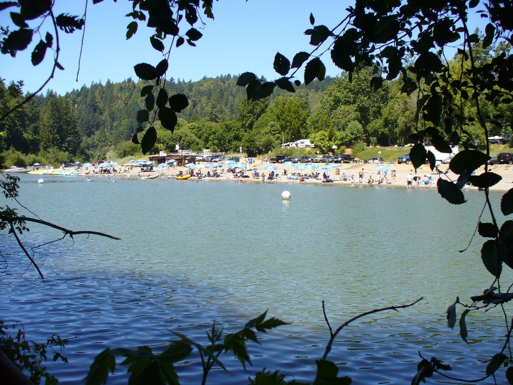 P1000376.JPG