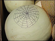 378_7869.JPG