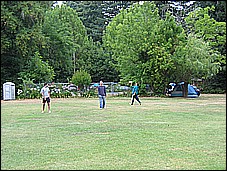 379_7929.JPG