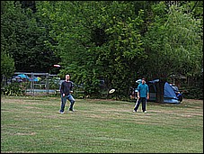 379_7937.JPG