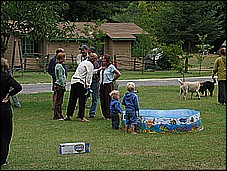 379_7939.JPG