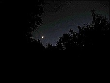 381_8164.JPG
