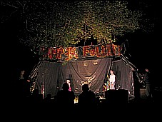381_8178.JPG