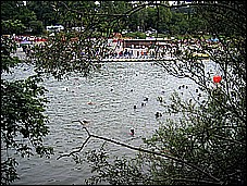 381_8191.JPG