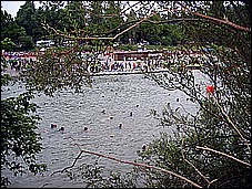 381_8192.JPG