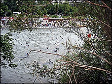 381_8193.JPG