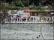 381_8194.JPG