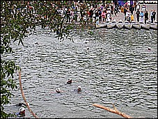 381_8200.JPG