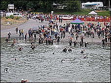382_8203.JPG