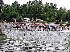 382_8204.JPG