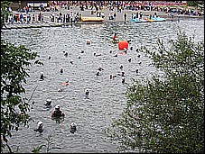382_8206.JPG