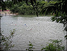 382_8210.JPG