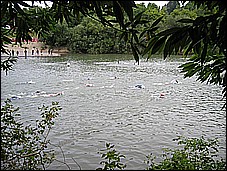 382_8211.JPG