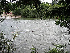 382_8212.JPG